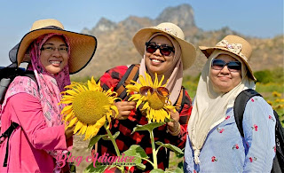 Part 4 | Ladang bunga matahari di Lop Buri 