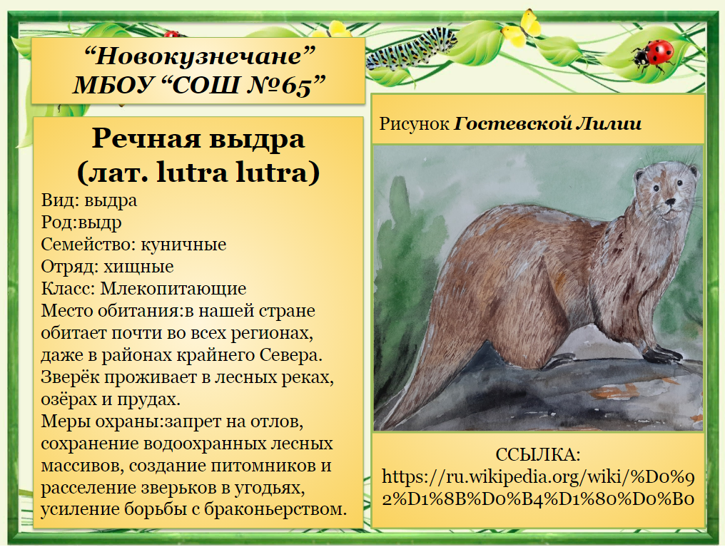 почему выдра занесена в красную книгу. почему выдра занесена в красную книгу. речная выдра красная книга челябинской области. выдра красная книга. доклад про выдру.