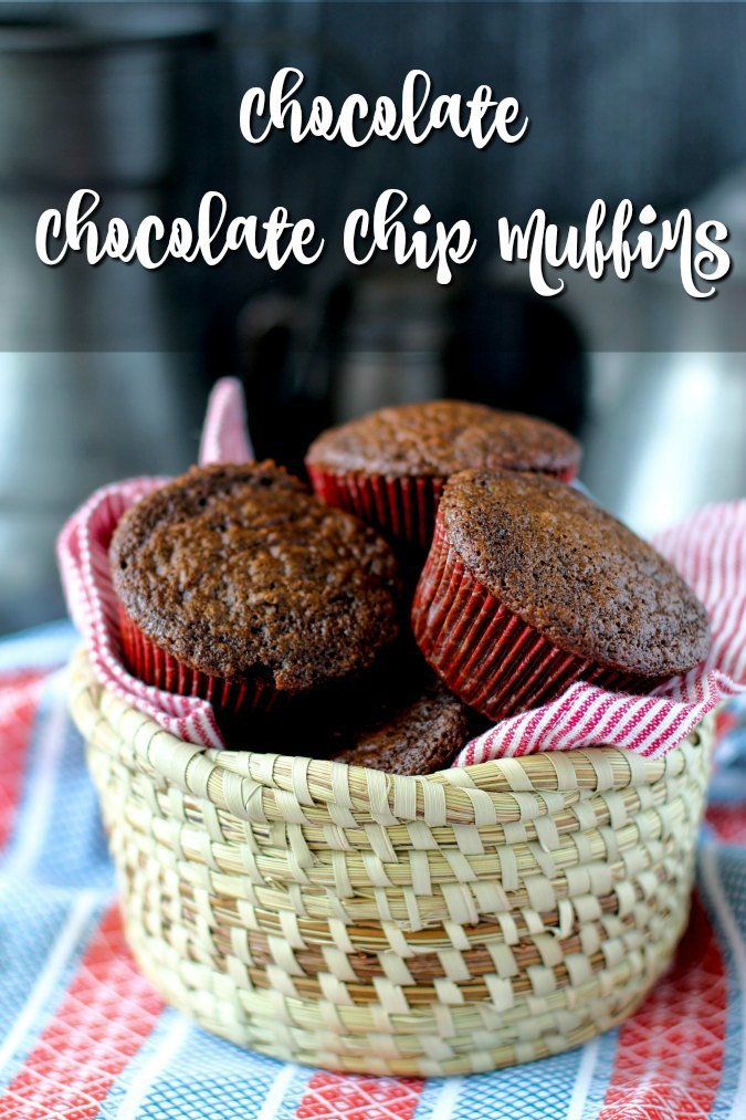 Chocolate Chocolate Chip Muffins (small batch)