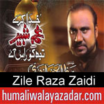 https://www.humaliwalayazadar.com/2014/10/zille-raza-nohay-2012-to-2015.html