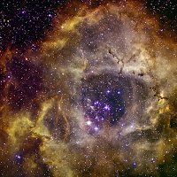 The Rosette Nebula optical