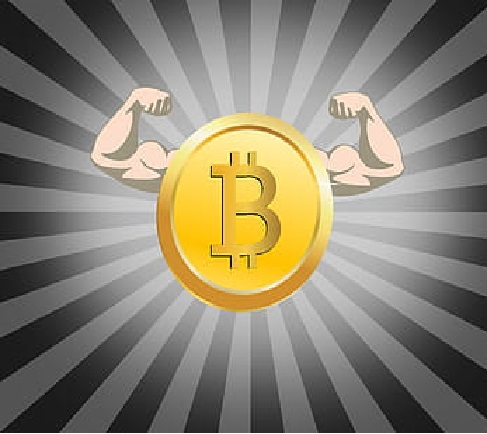 Statut juridique investissement crypto monnaie