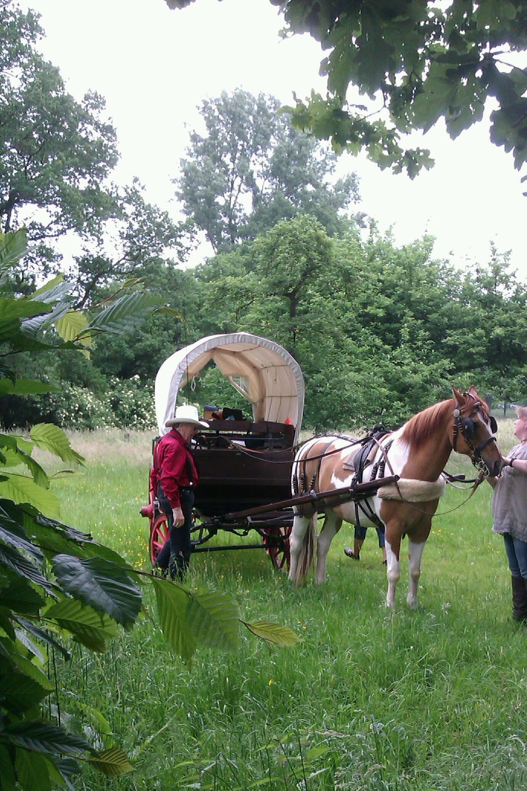 Frau Frieda Mai 2016