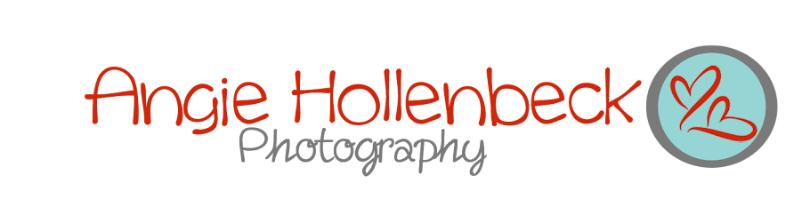 Angie Hollenbeck Photography, The Blog