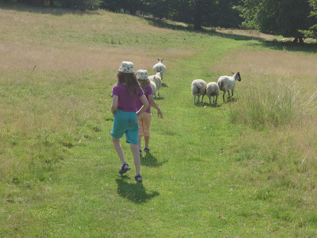 What you need to know about visiting Yorkshire Sculpture Park.