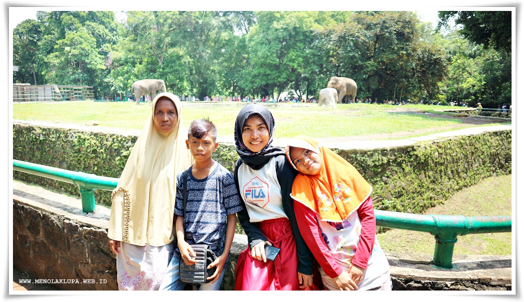 Cerpen Tentang Liburan Ke Kebun Binatang Gambaran