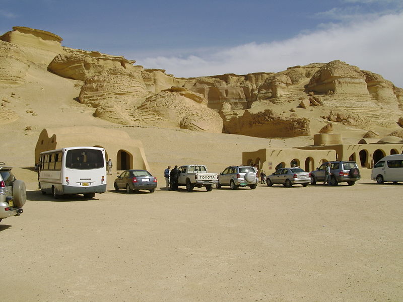 وادي الحيتان - حياة بحرية في قلب الصحراء