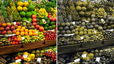 Begini Rupa Dunia di Mata Penderita Buta Warna