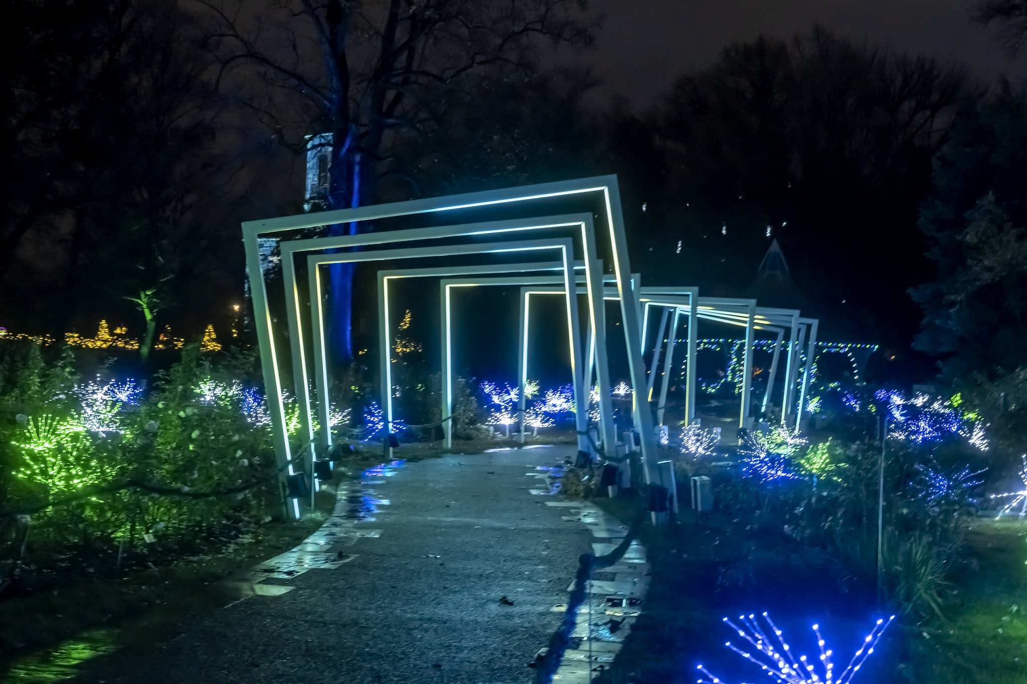 St. Louis Daily Photo GARDEN GLOW