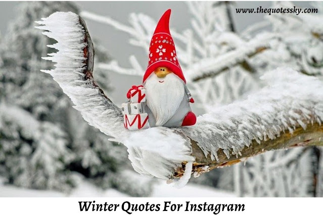 151+ Winter Quotes For Instagram [ 2021 ] Also Winter Captions