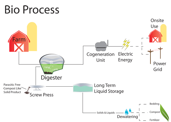 Когенерация биогаза схема простая. Biogas + Wind + Solar рисунок. Biogas Production from manure. Biofuel Energy easy explanation. Energy units