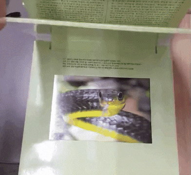 4.gif
