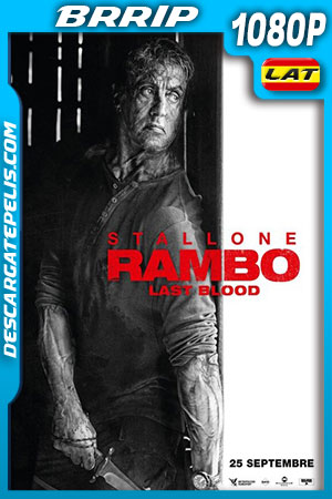 DescargatePelis.com