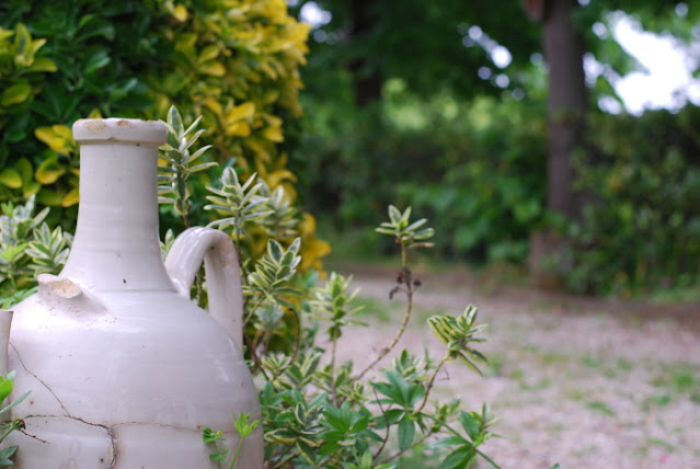 in our garden - CASA SANTO SPIRITO