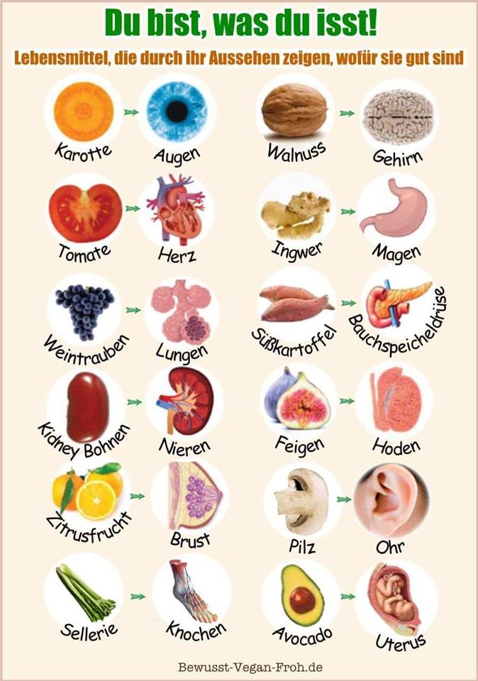 14 Lebensmittel Die Durch Ihr Aussehen Lebensmittel, die durch ihr Aussehen zeigen, wofür sie gut sind