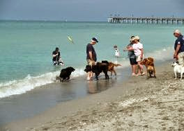 Dog Friendly Beaches Florida