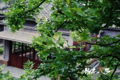 九份美食小吃|九份老街景點|九份隱藏版小吃|九份在地人推薦好吃好玩|九份早點輕食|九份秘境