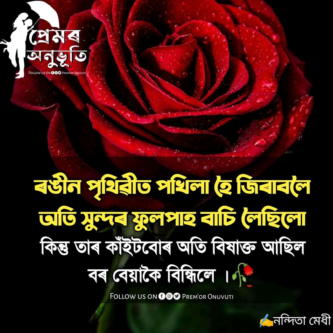 100+ Emotional Assamese quotes || Assamese WhatsApp status || Best