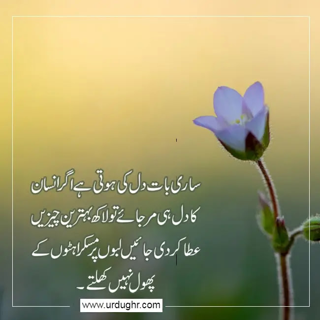 500 Best Quotes about life in Urdu Life Quotes in Urdu