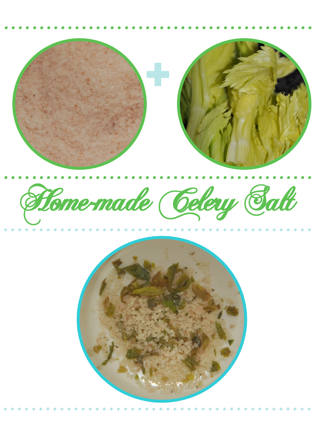 Kitchen Project DIY Celery Salt Our Phenomenal Life