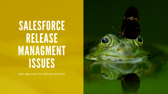 sfdc247 release management