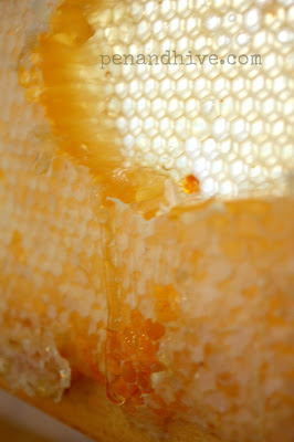 honey straight from the hive