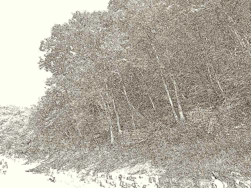 공주 칠갑산 장곡사 공주 칠갑산 장곡사