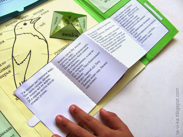 lаpbook мастер-класс книжка