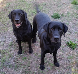 Rosie and Tuppence