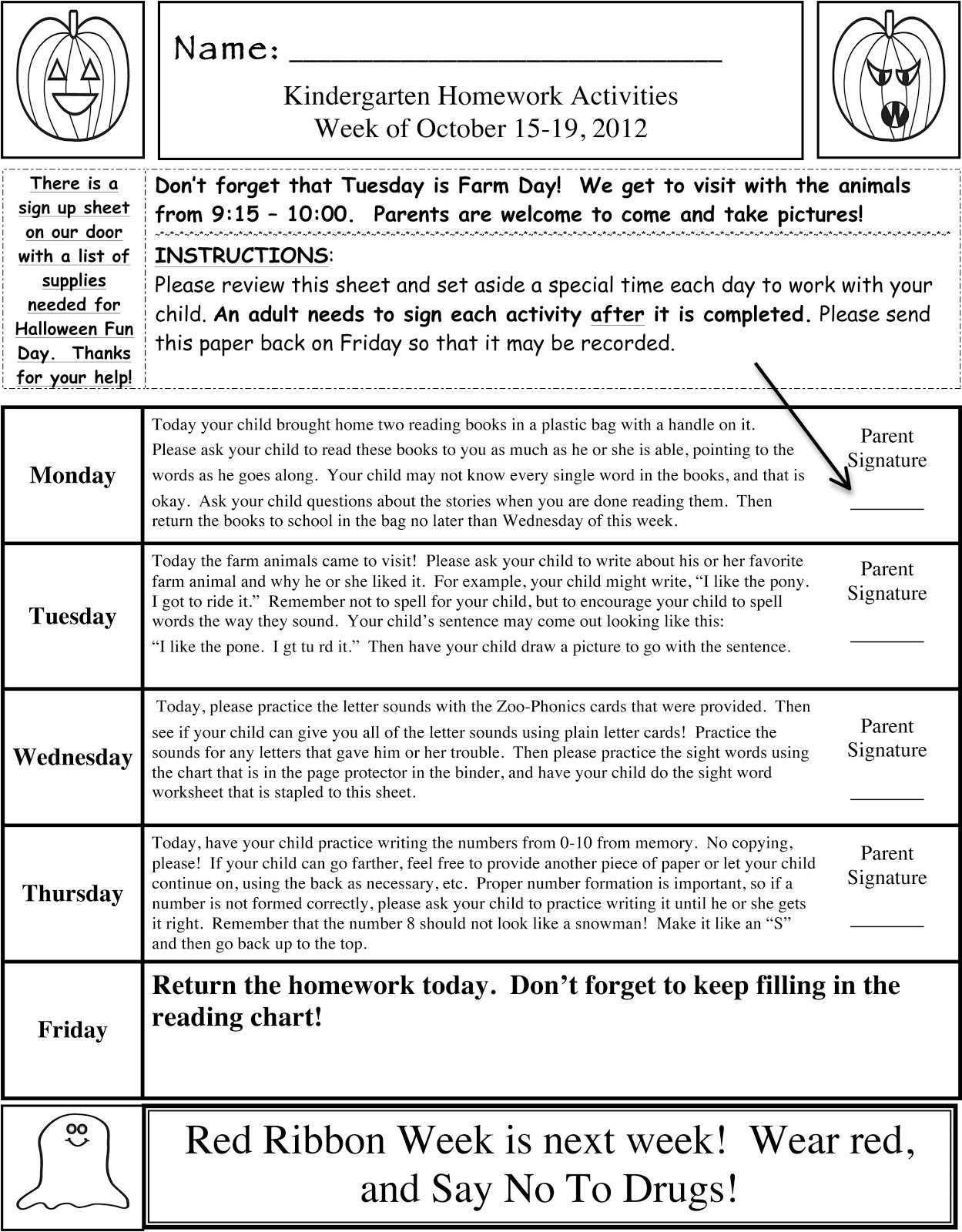 a parrot's essay reviews