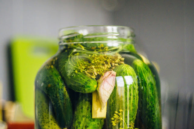 Cucumbers: how to grow a good harvest