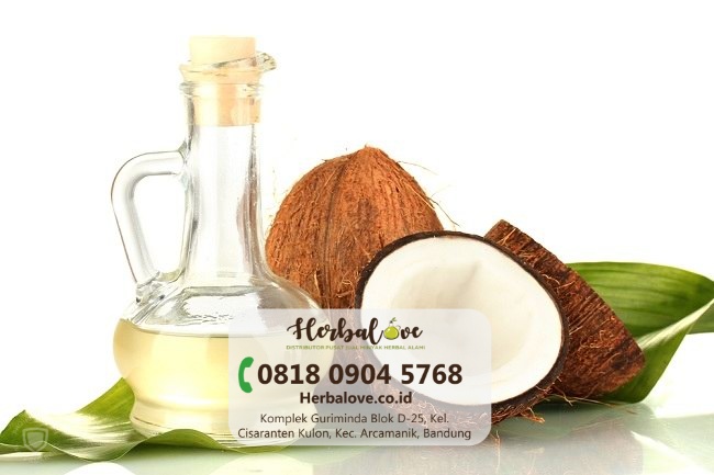 jual minyak kelapa Yogyakarta