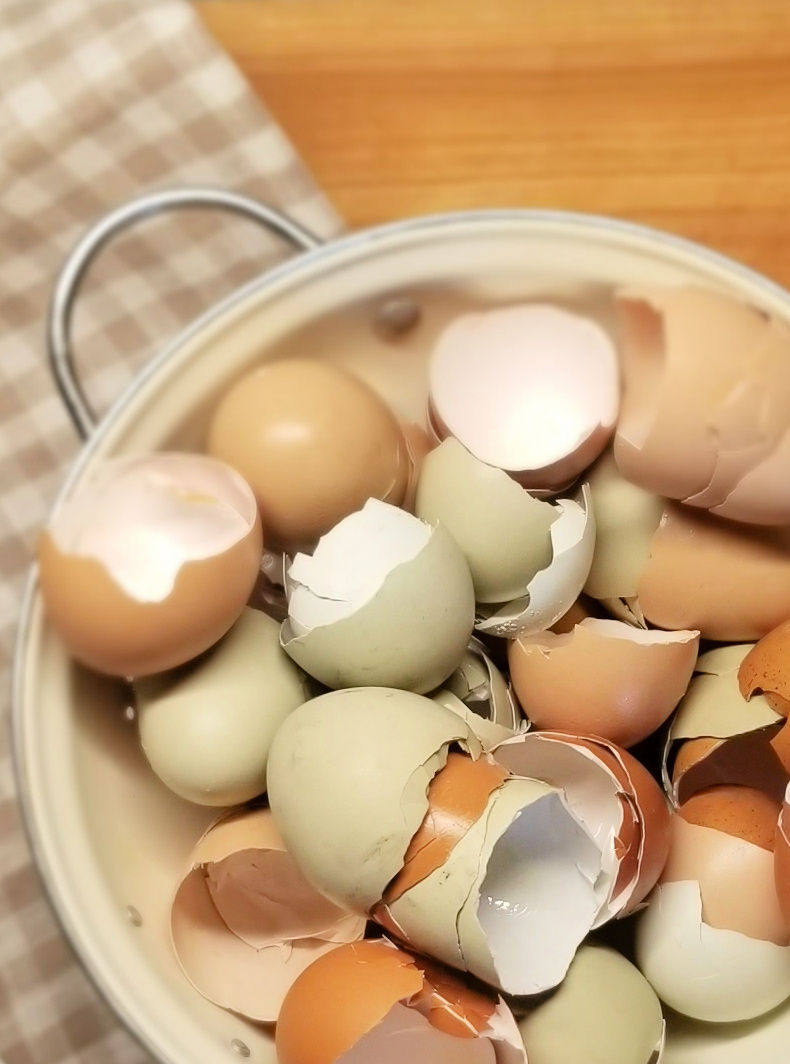 Are Cracked Eggs Safe to Eat? Fresh Eggs Daily® with Lisa Steele