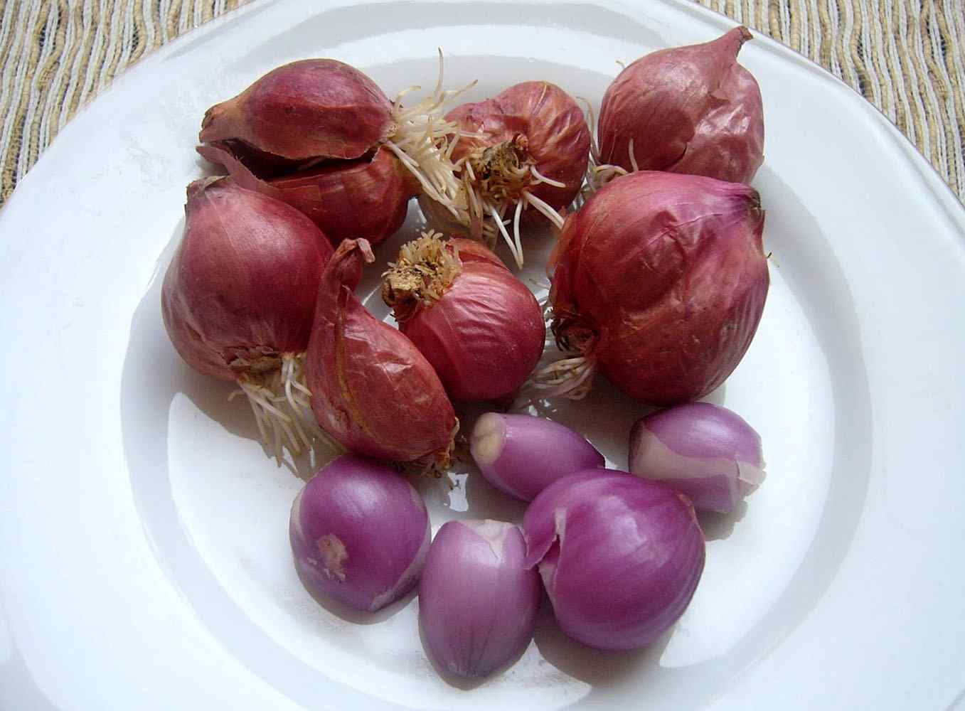 The Benefits of Shallots for Preventing and Curing Some Kinds Cancer