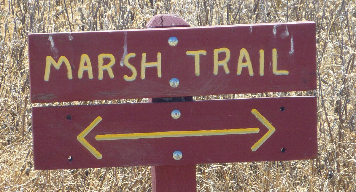 Trailing Ahead: Rush Ranch's Marsh Trail: overlooking and approaching ...