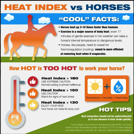 NC Horse Blog: Pay attention to the heat index!