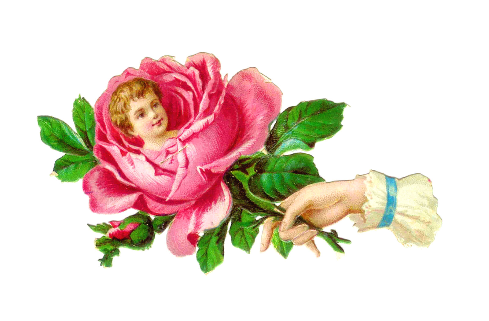victorian flowers clipart - photo #45