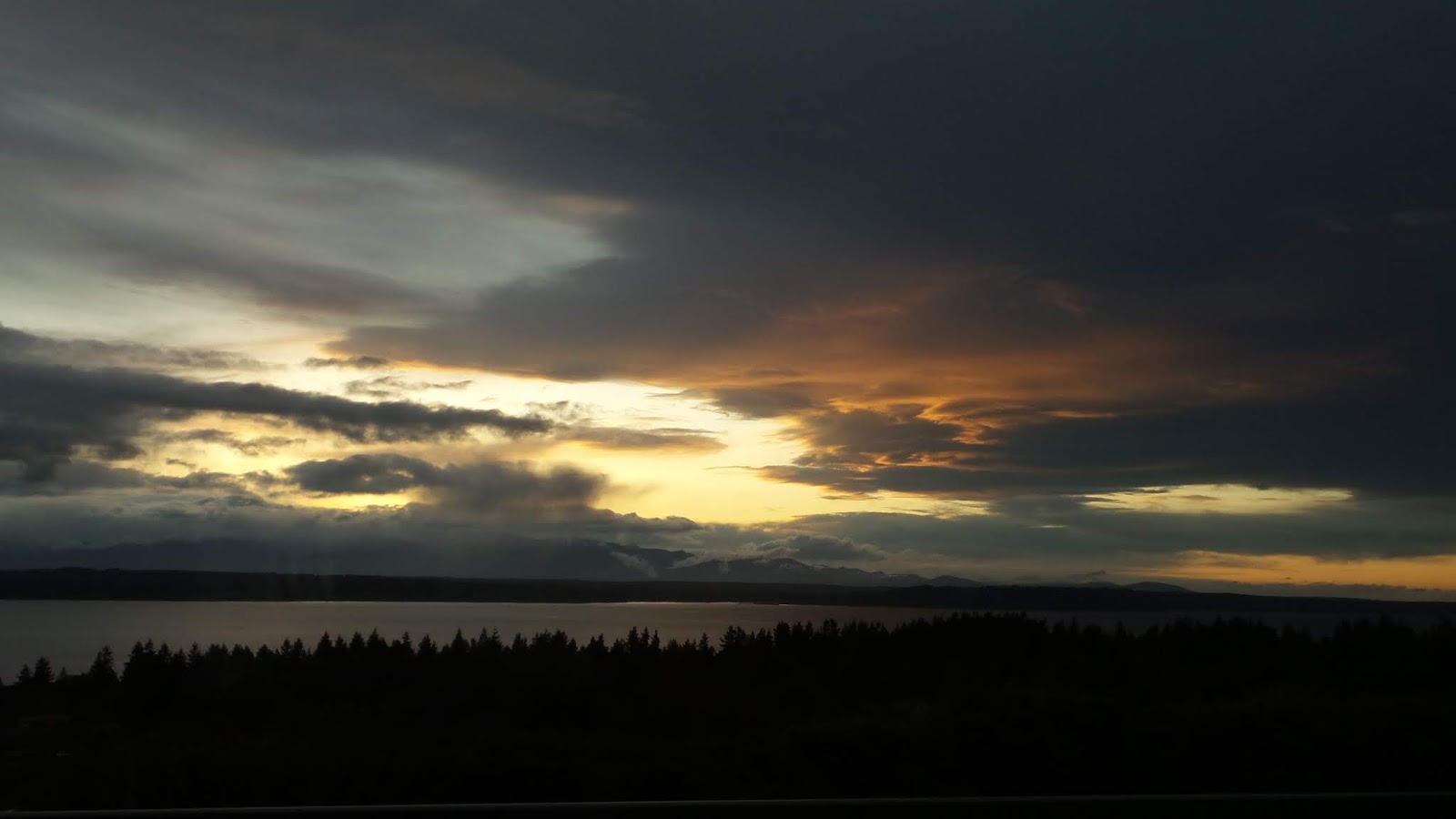 Vanessa Kirby Wallpaper Phone