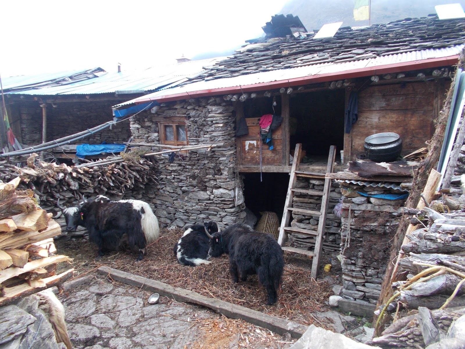 Вокруг Манаслу, долина Цум, Нар-Пу. Непал 2017.