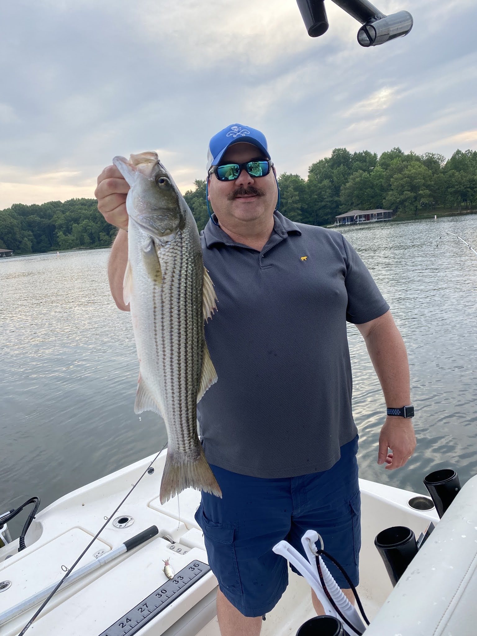 Striper Report Lake Anna Striper Recent Catches Jim Hemby Guide