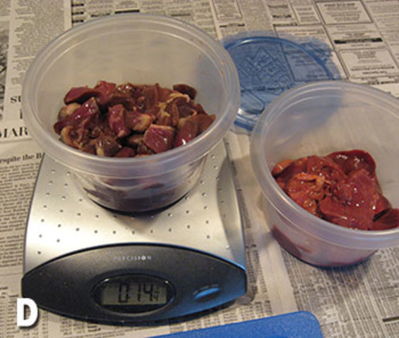 How Long Can Raw Cat Food Be Left Out?