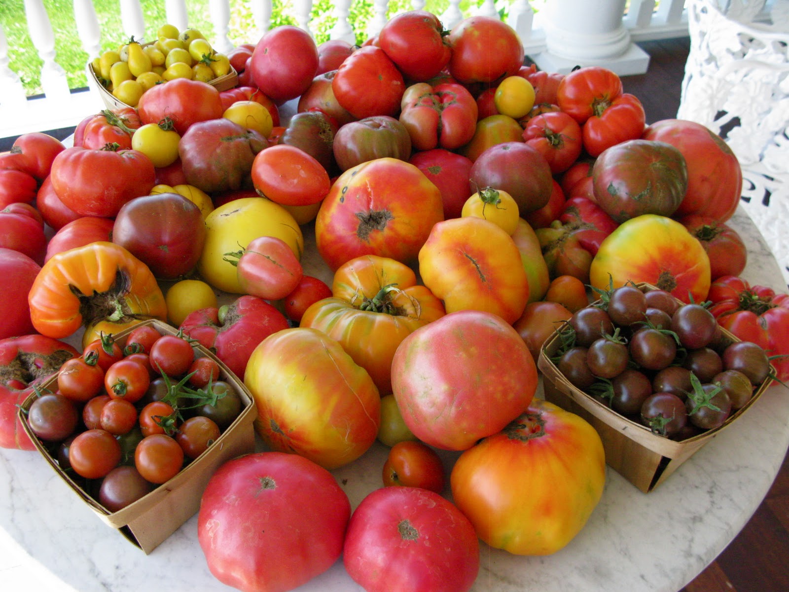Gardener in a Forest Heirloom Vegetable Seeds What's in a Name? Gardener in a Forest Heirloom Vegetable Seeds What's in a Name?