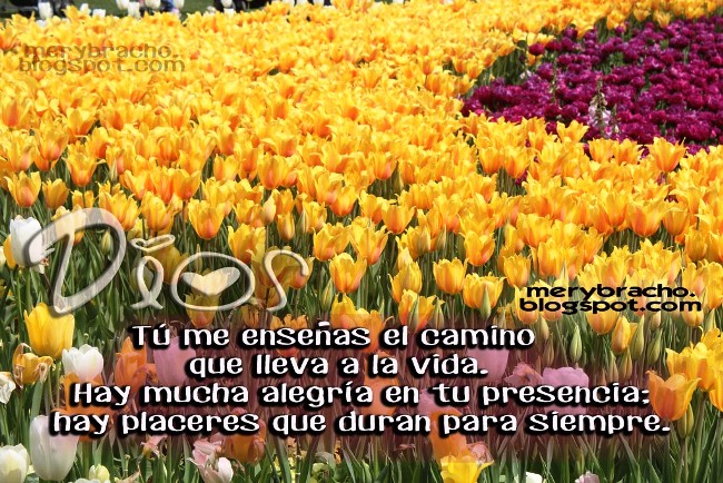 Dios, enséñame el camino de vida. Postales Imágenes Cristianas con versos bíblicos, citas bíblicas, Biblia. Oraciones en Poemas cristianos, fortaleza en problemas. Para amigo con problemas.