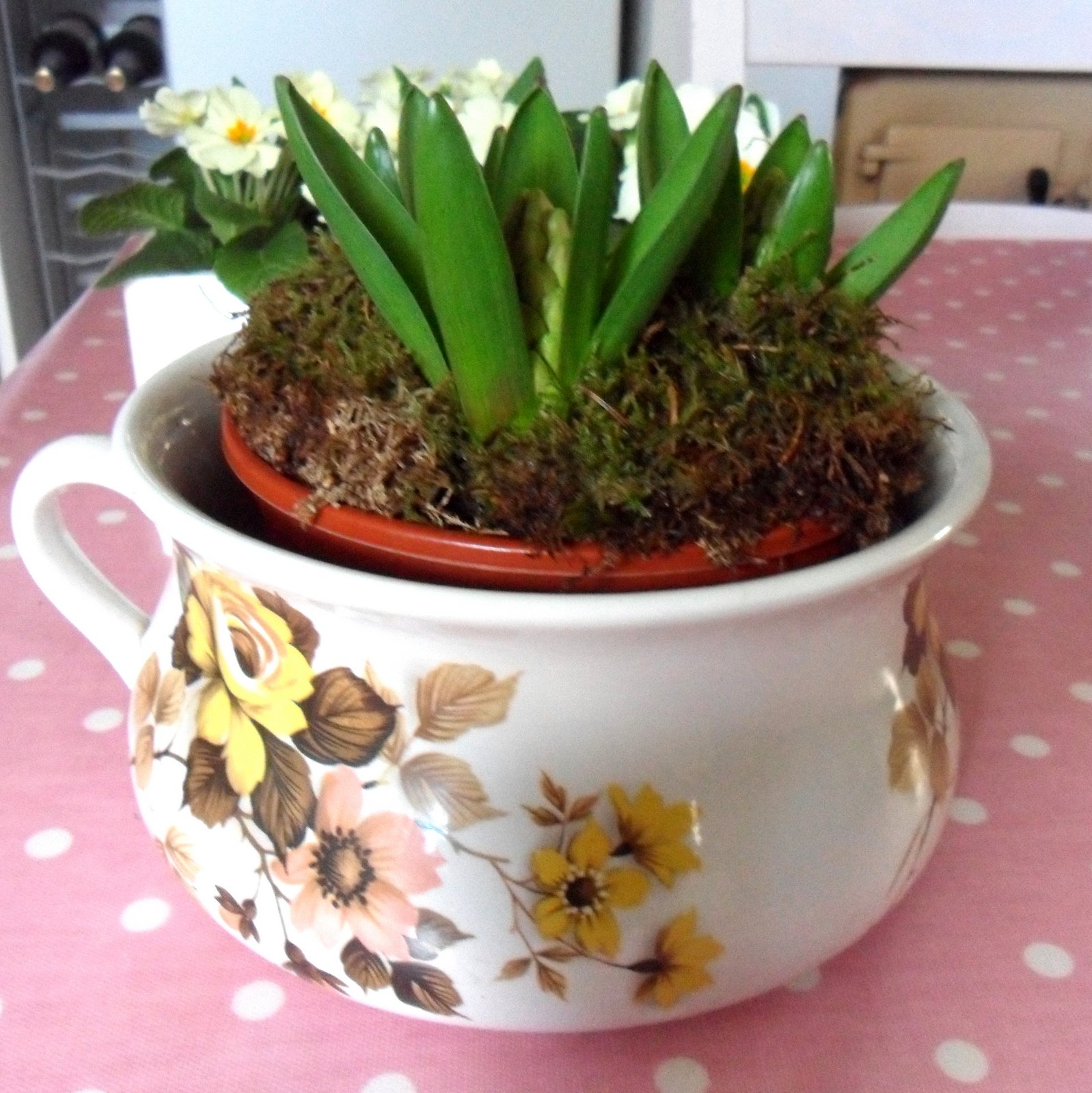 gillyflower: A Floral Tuesday