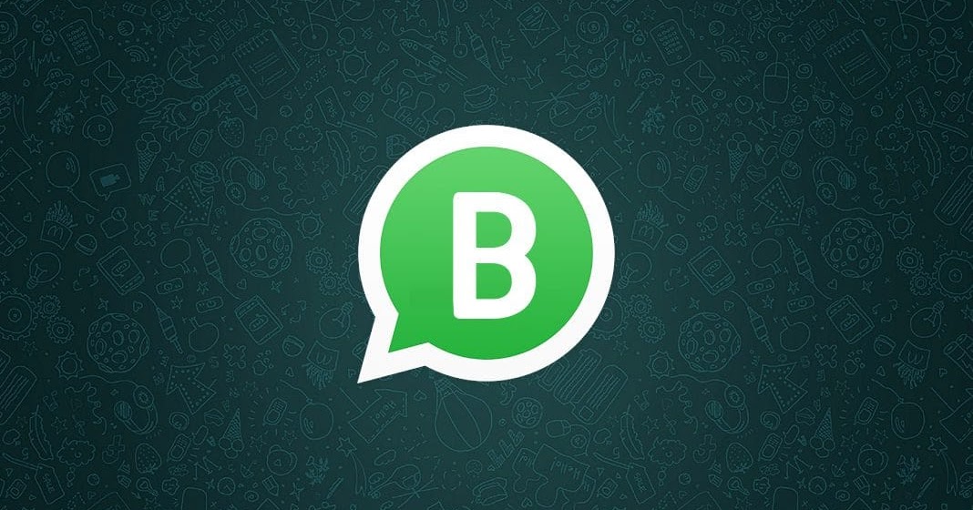 download whatsapp business latest version on windows 7