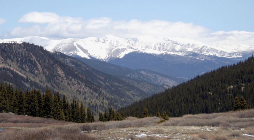 Decide where to buy raw land