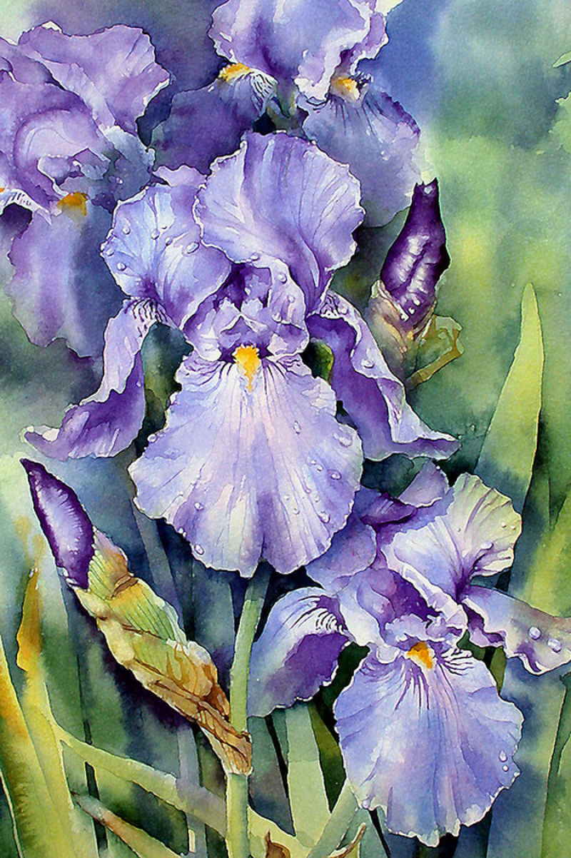 Pin by Helena Kadyrova on Watercolor | Iris painting, Iris art ...
