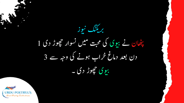 HOT Poetry Funny Jokes In Urdu 2021 14 August Funny Jokes In