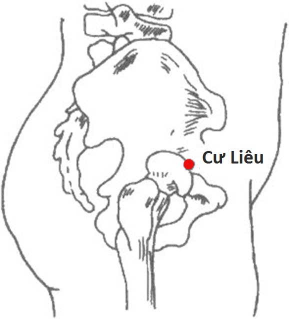 Vị trí huyệt cư liêu