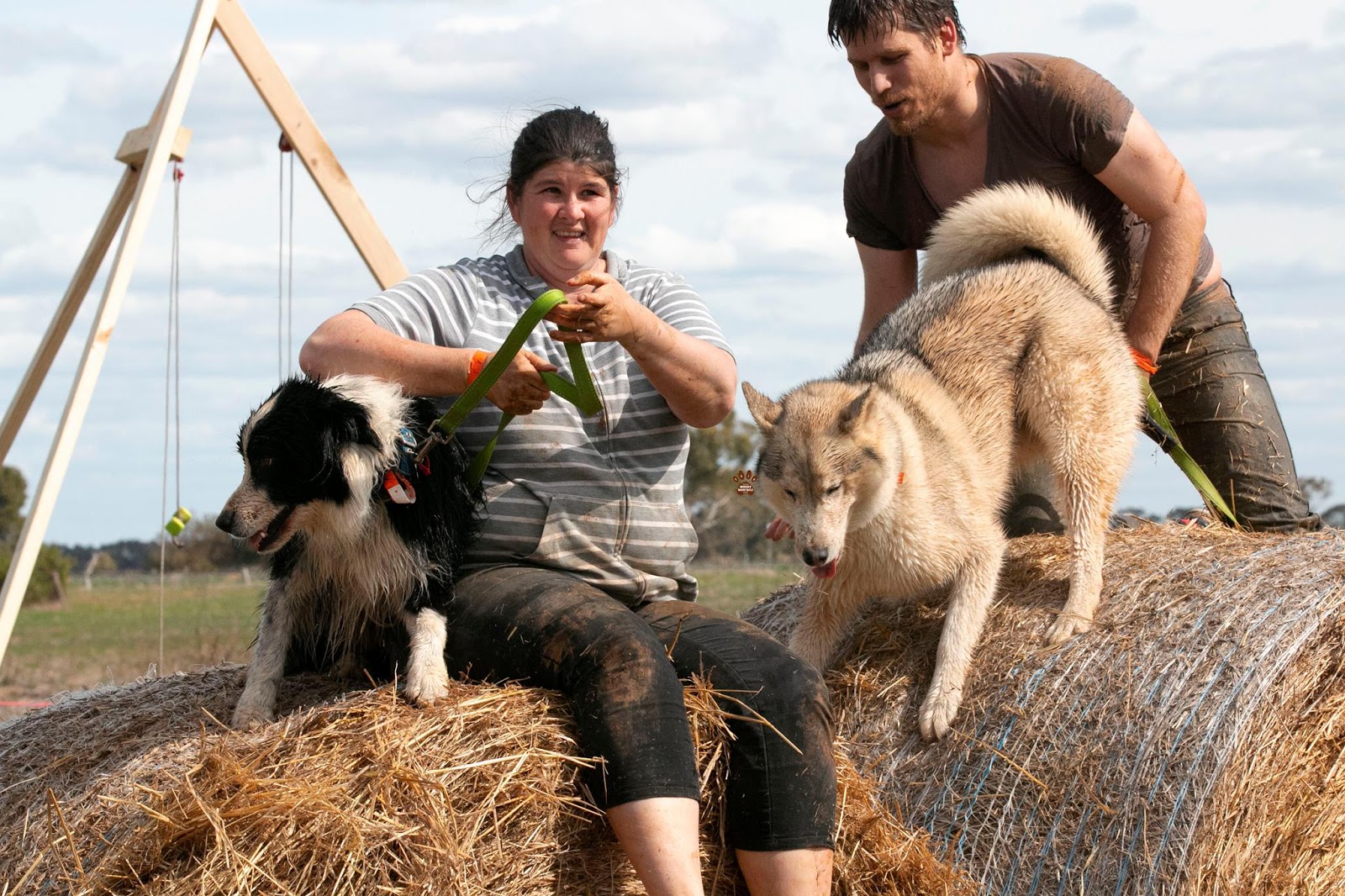 Paws Explores Muddy Dogstacle Adventure October 20 Australian Dog Lover